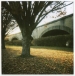 16_viaduct_tree